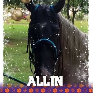 Meet your Posher, Angel